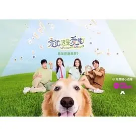 《宠他，还是爱我？》：当爱与占有交织，爱情的边界在哪里？深度解析情感漩涡